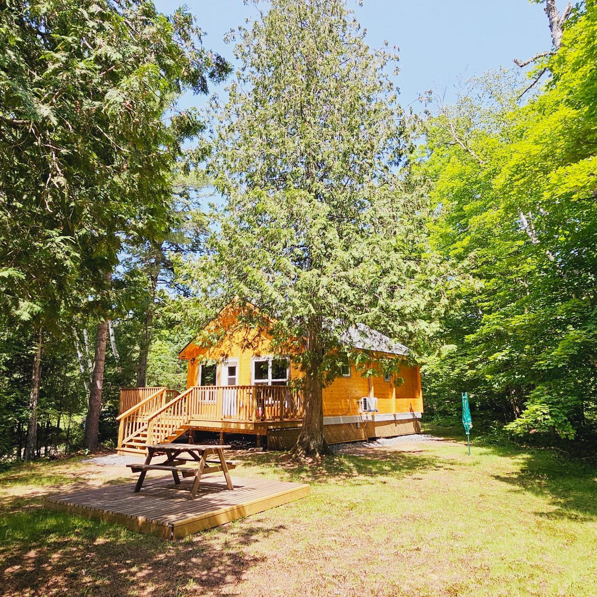 Parkway Cottage Resort And Trading Post Dwight Ngoại thất bức ảnh